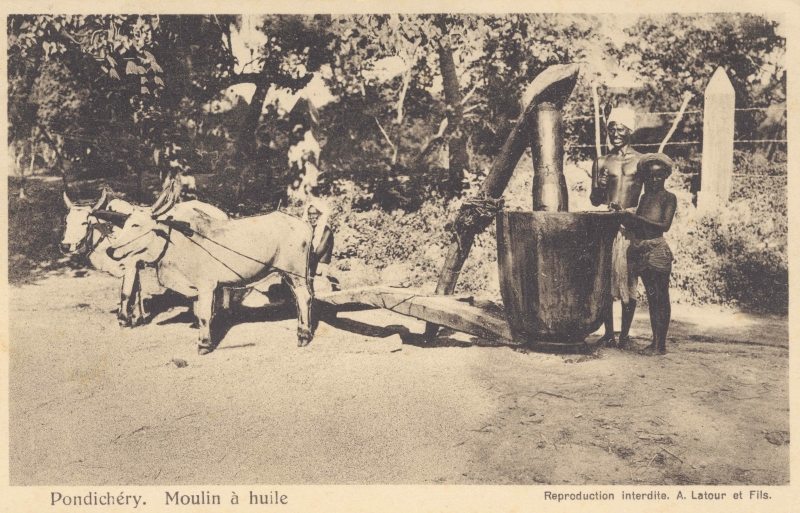 13-16 - Pondichery - moulin a huile - 3